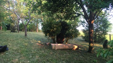 IMG_2860.JPG